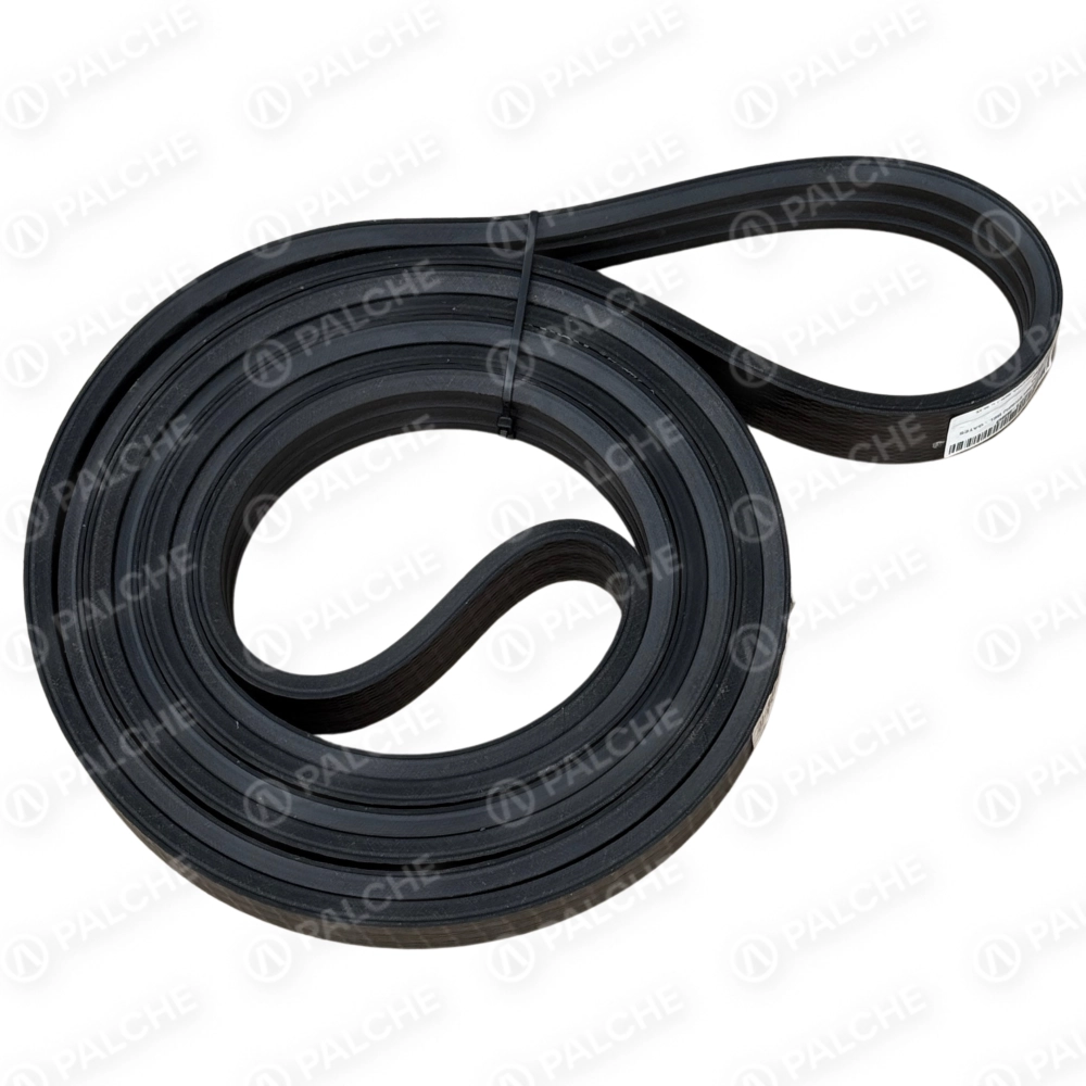 667891 Пас (підходить до CLAAS) - alternative image