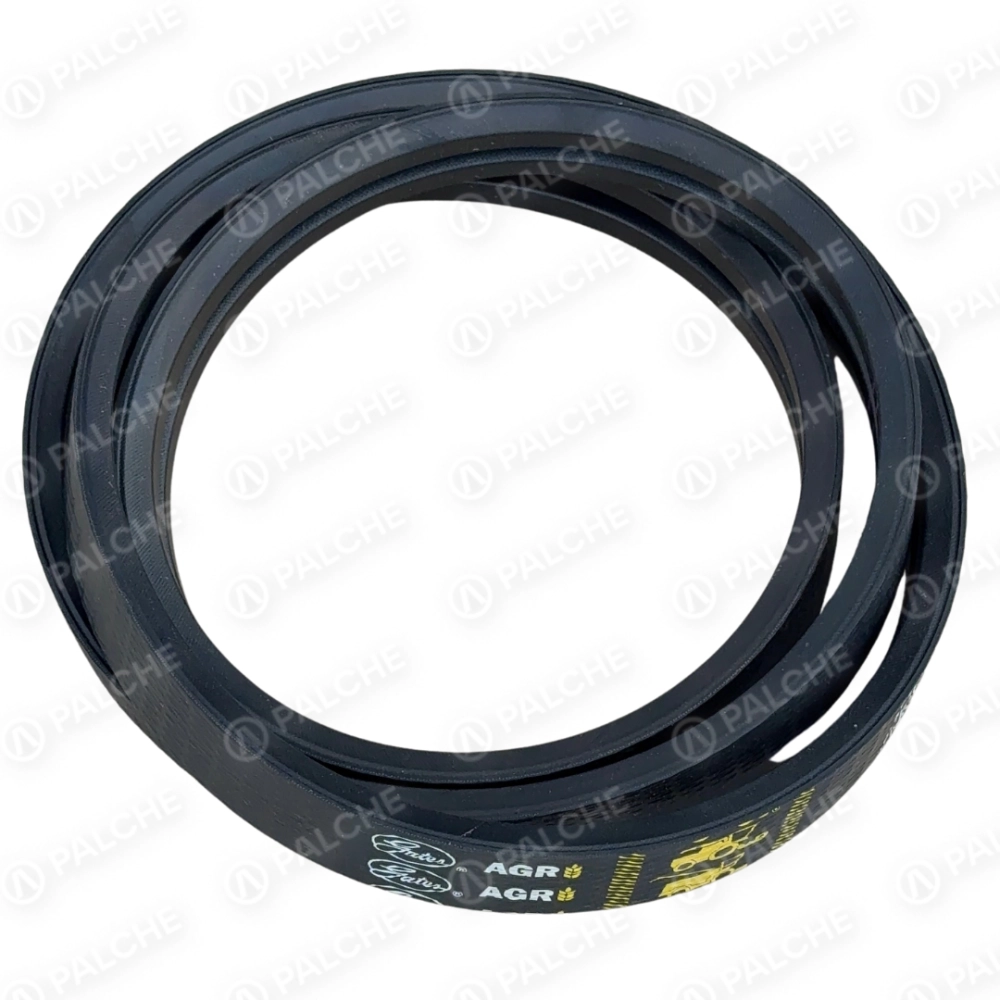 667251 Пас (підходить до CLAAS)