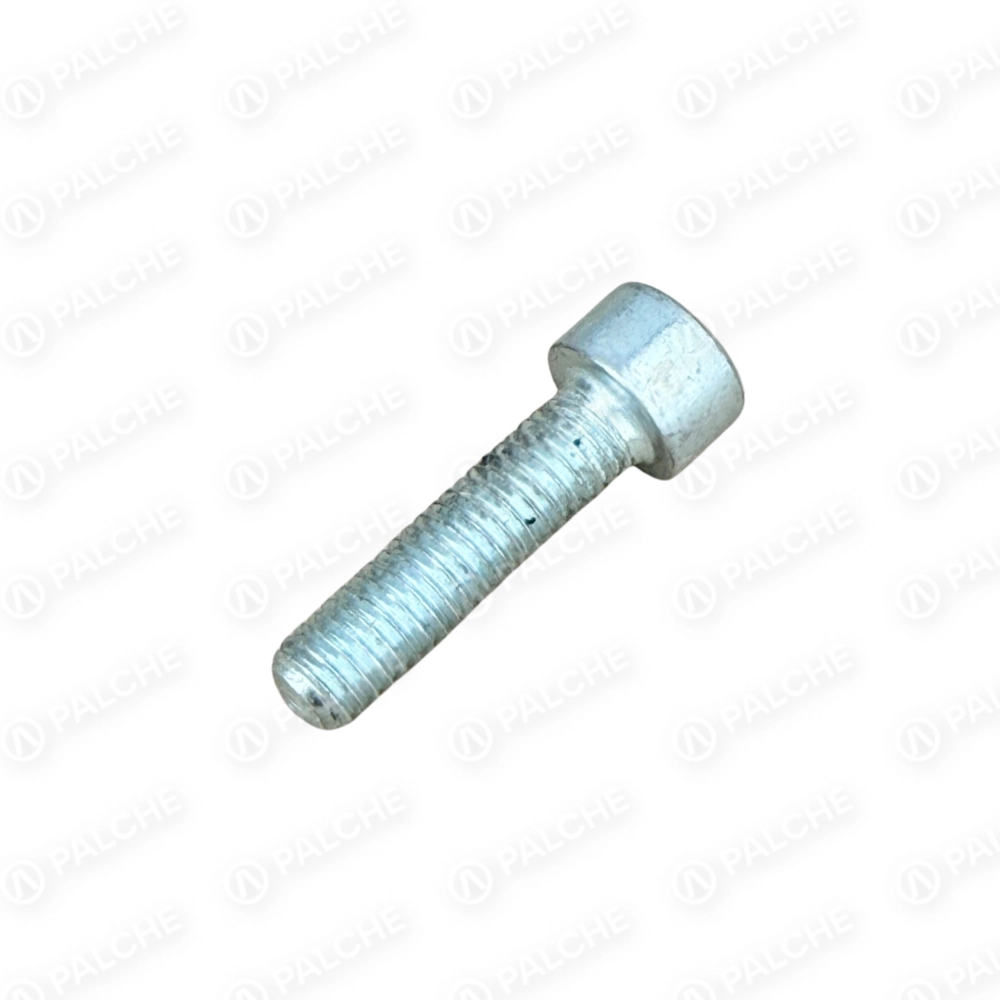 040720 Socket head cap screw 8x30 (fits to GERINGHOFF)