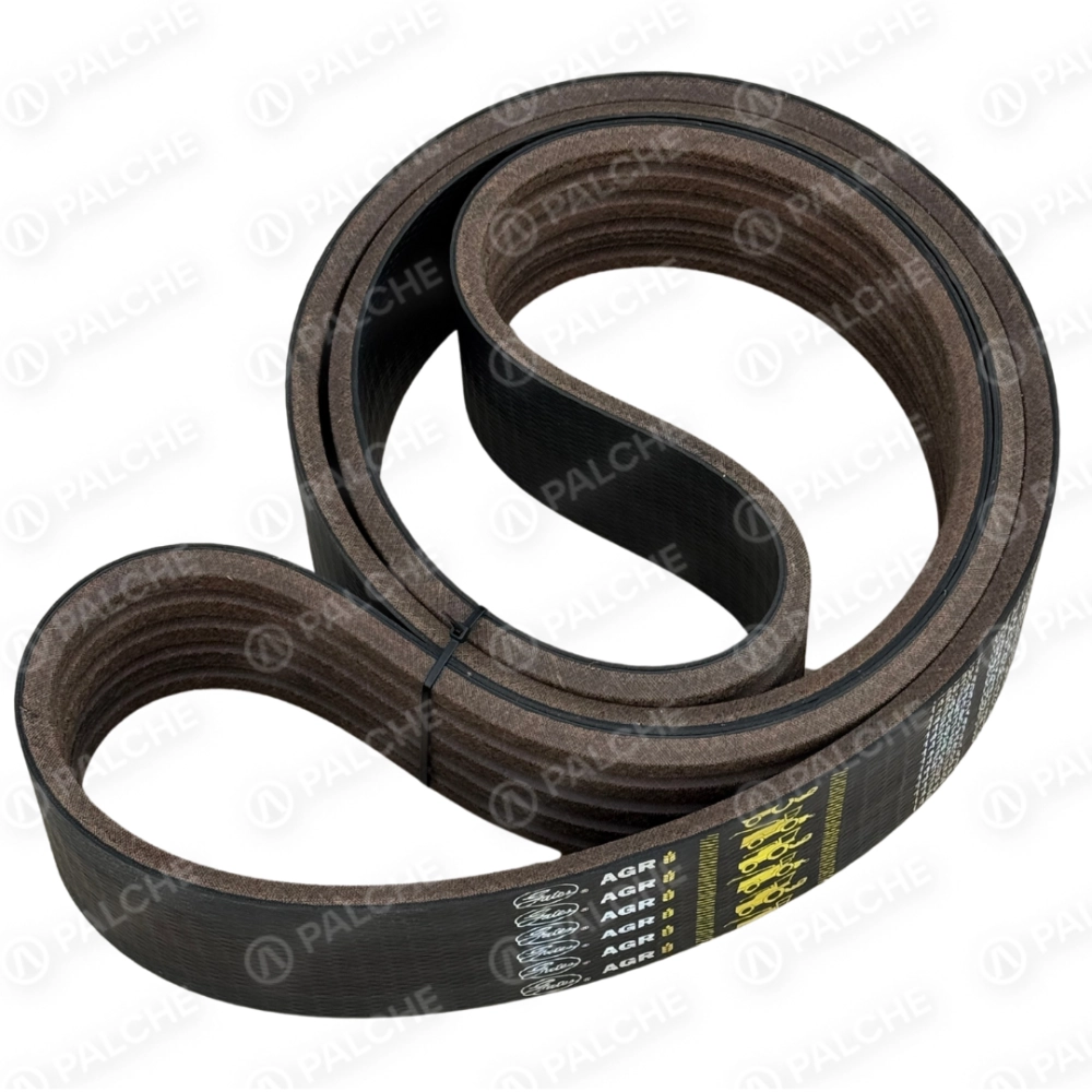 667453 (352403) Пас (підходить до CLAAS)