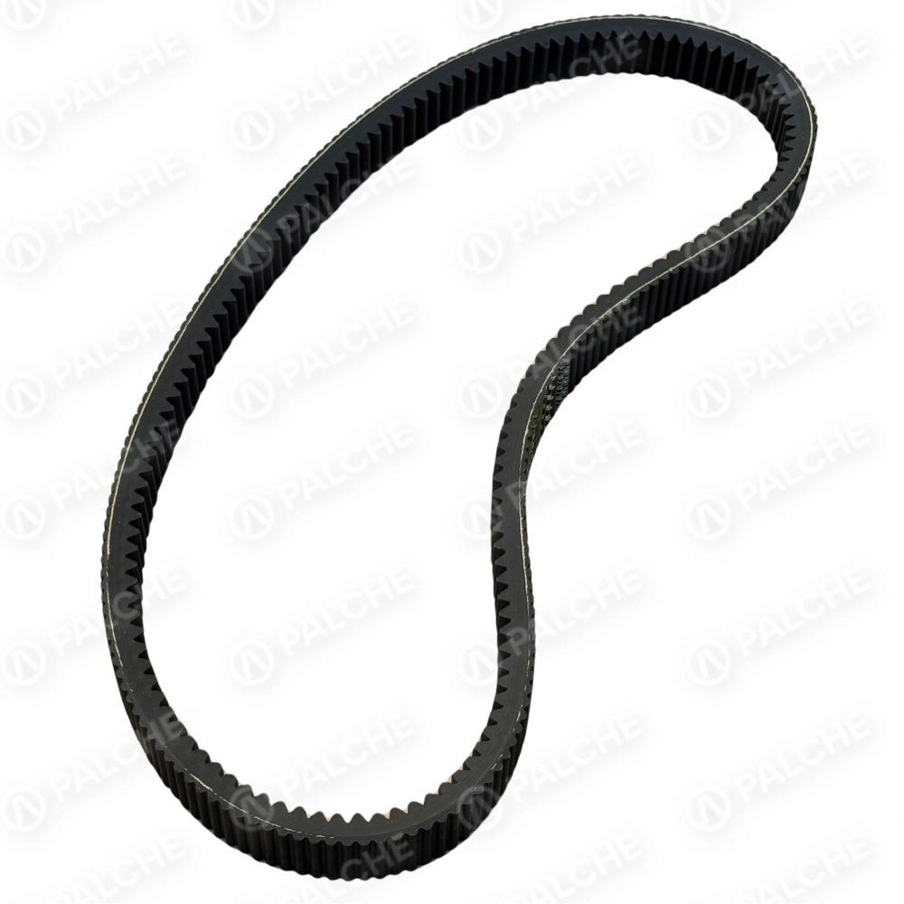 667248 Пас (варіатора барабана Lexion) (підходить до CLAAS)