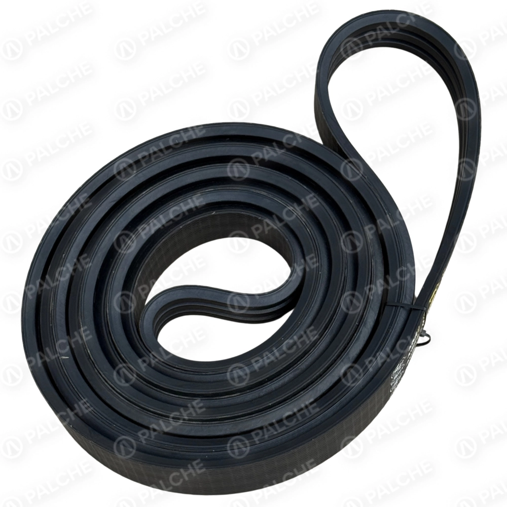 644961 Пас (підходить до CLAAS)