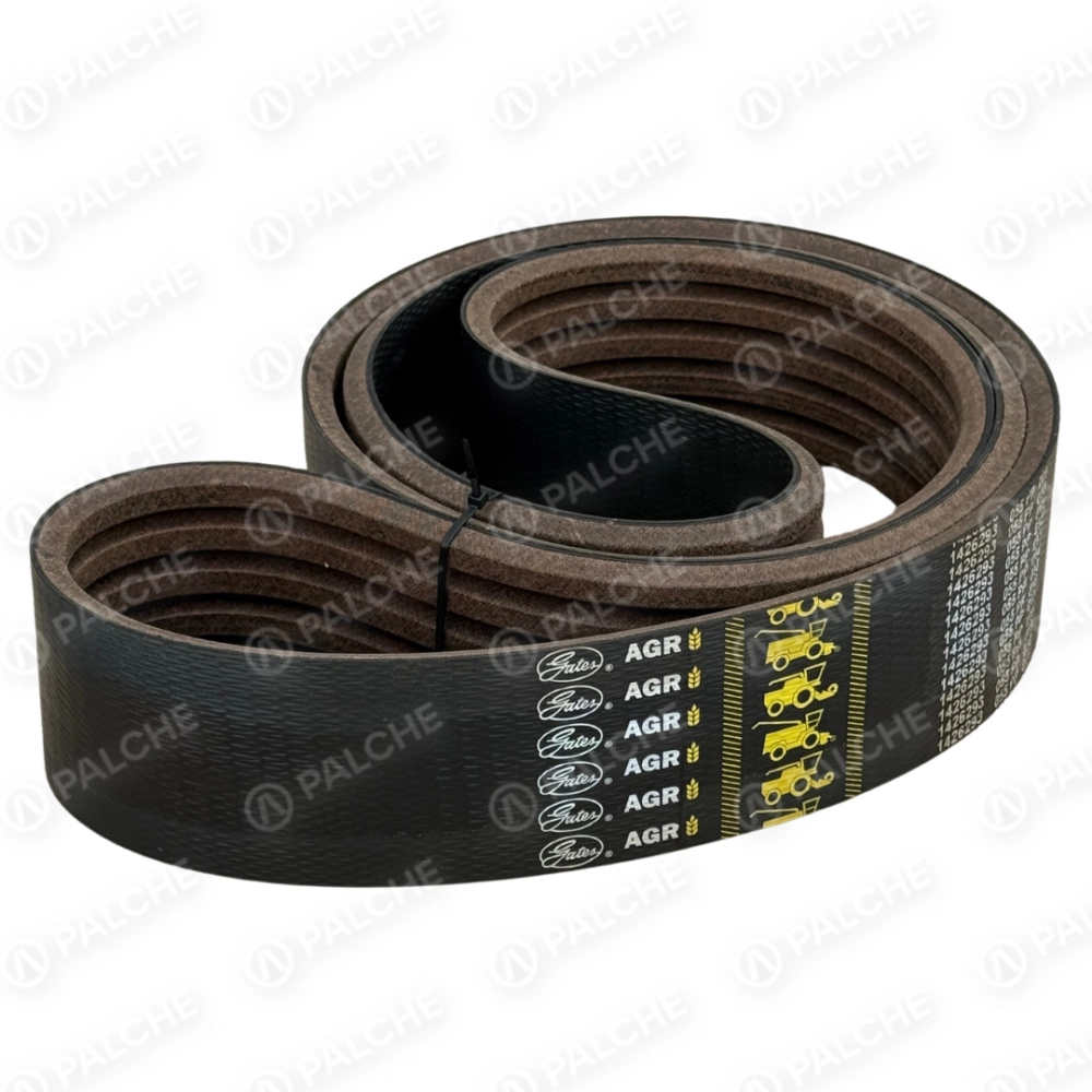 667453 (352403) Пас (підходить до CLAAS) - alternative image