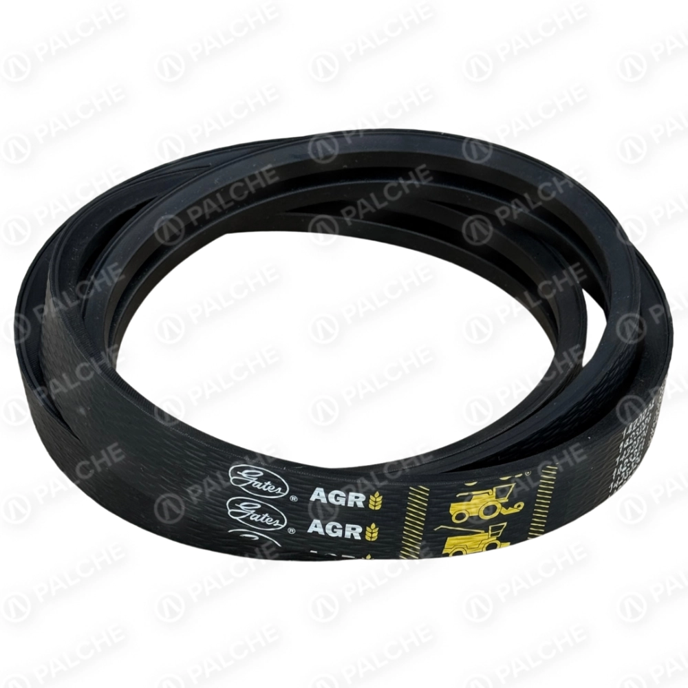 667251 Пас (підходить до CLAAS) - alternative image