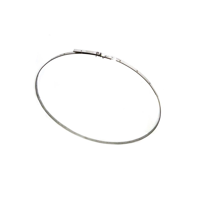 543738 (556587) Кільце (підходить до CLAAS) - alternative image