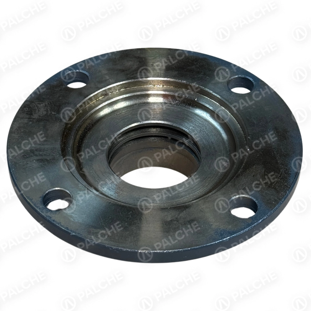 628736 Вкладиш підшипника (підходить до CLAAS) - alternative image