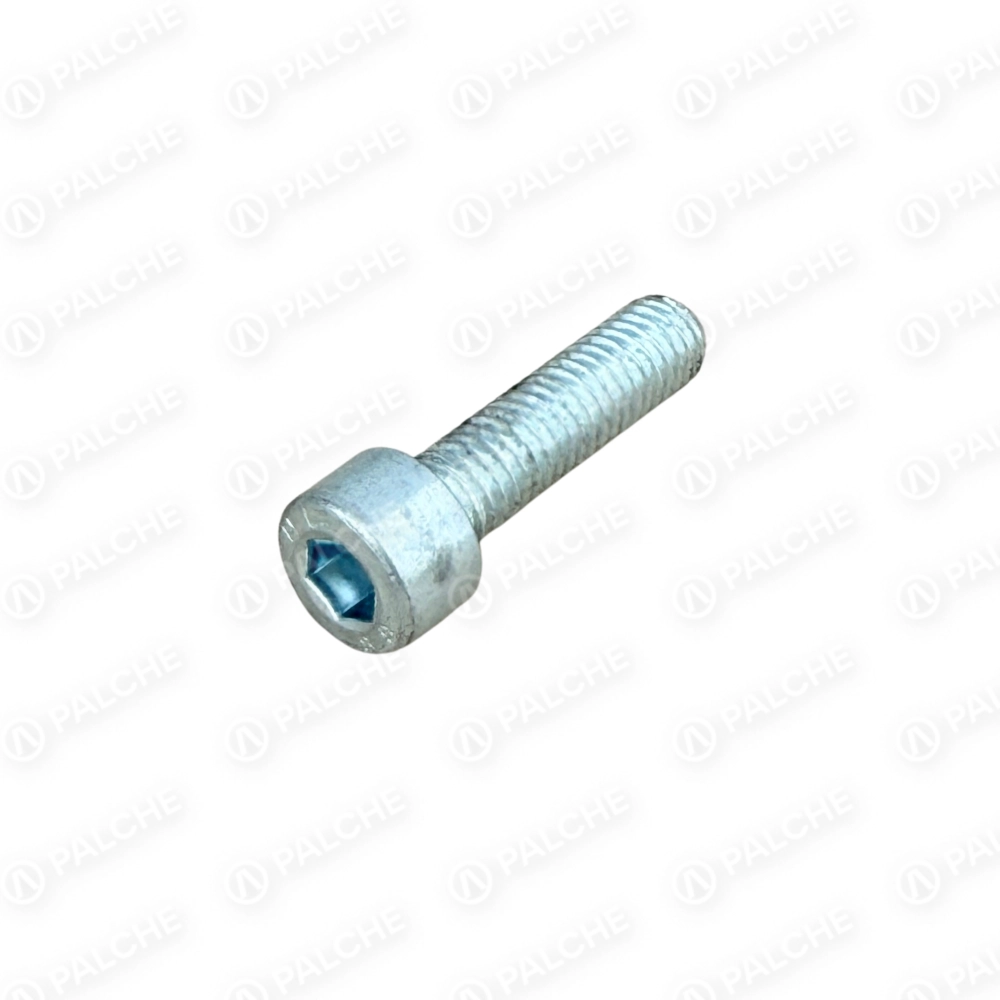 040720 Socket head cap screw 8x30 (fits to GERINGHOFF) - alternative image