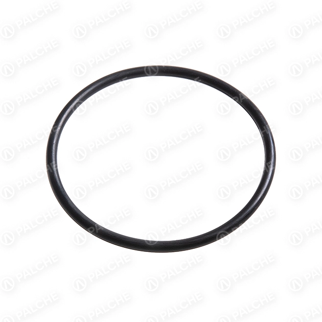 215353 Uszczelka (pasuje do CLAAS) - alternative image