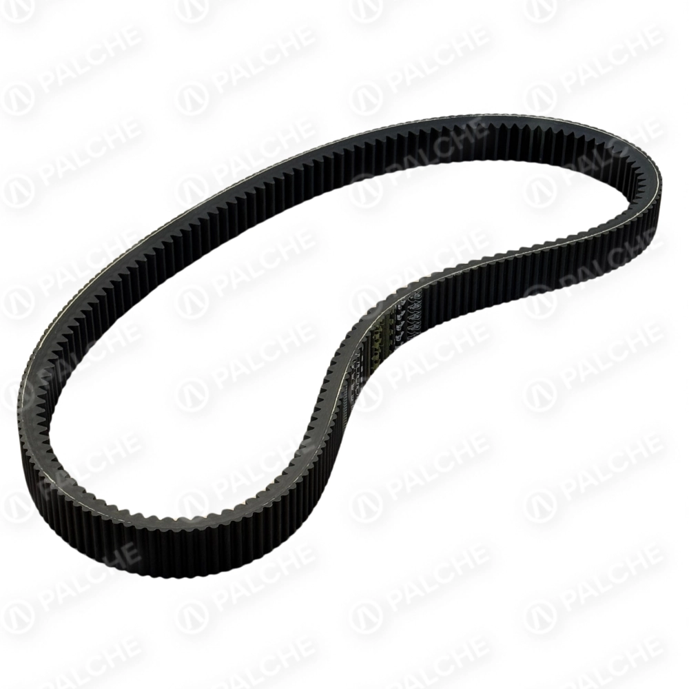 667248 Пас (варіатора барабана Lexion) (підходить до CLAAS) - alternative image